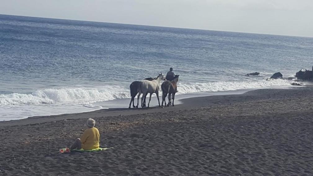 Santorini Pleasure Studios ฟิรา ภายนอก รูปภาพ